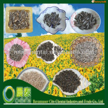 Buy Types Of Sunflower Seeds Various Sunflower Seeds